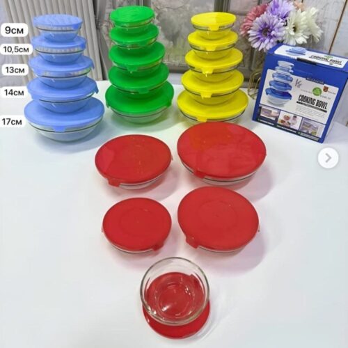 5pcs storage bowls with cover