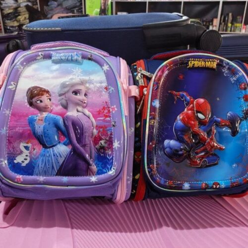 Medium Frozen Bag