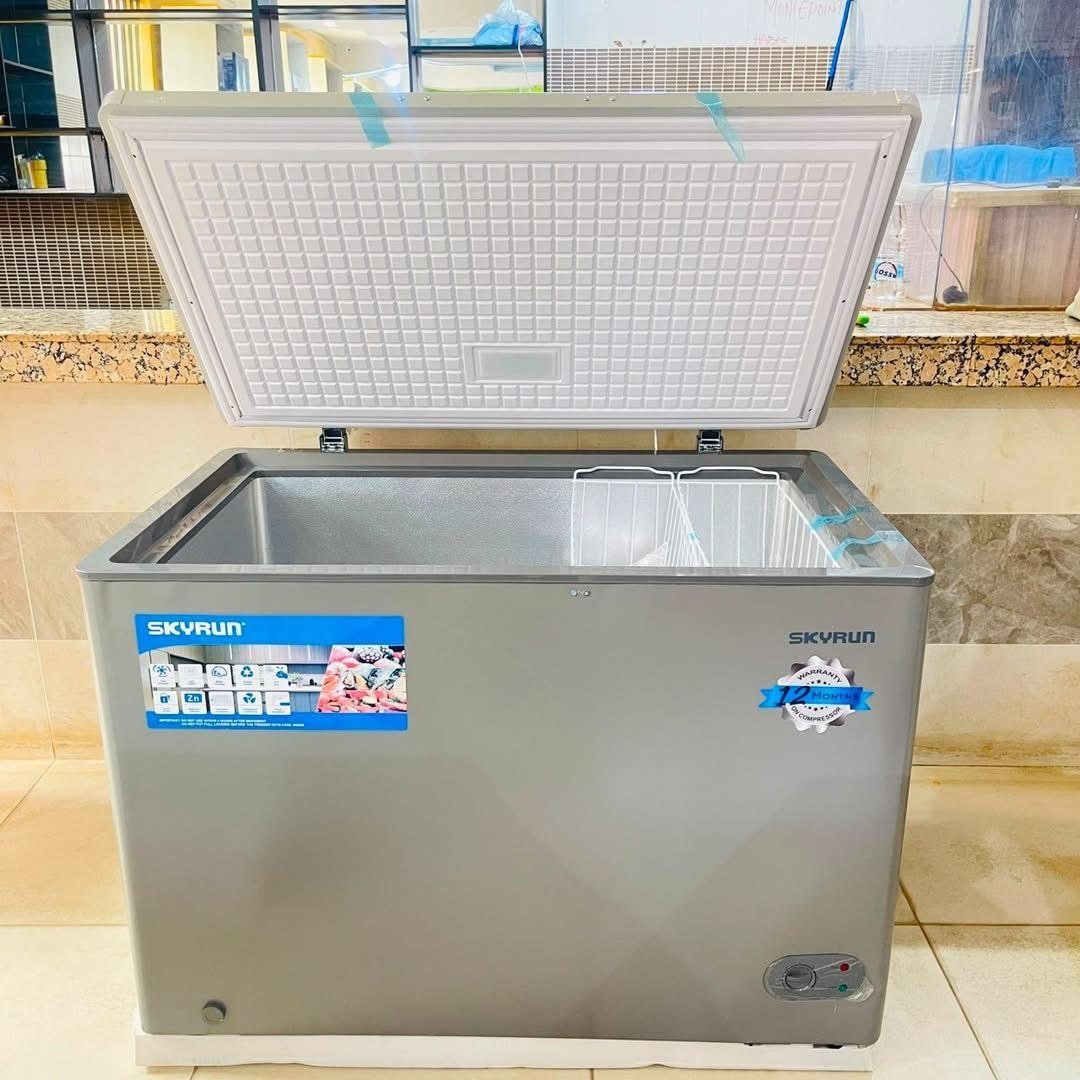 Skyrun BD-300HNW 300L Freezer