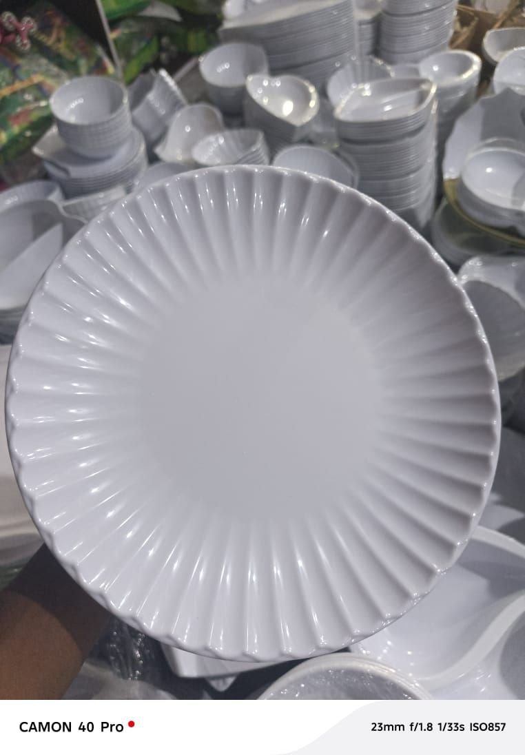 501  Dozen Plate l
